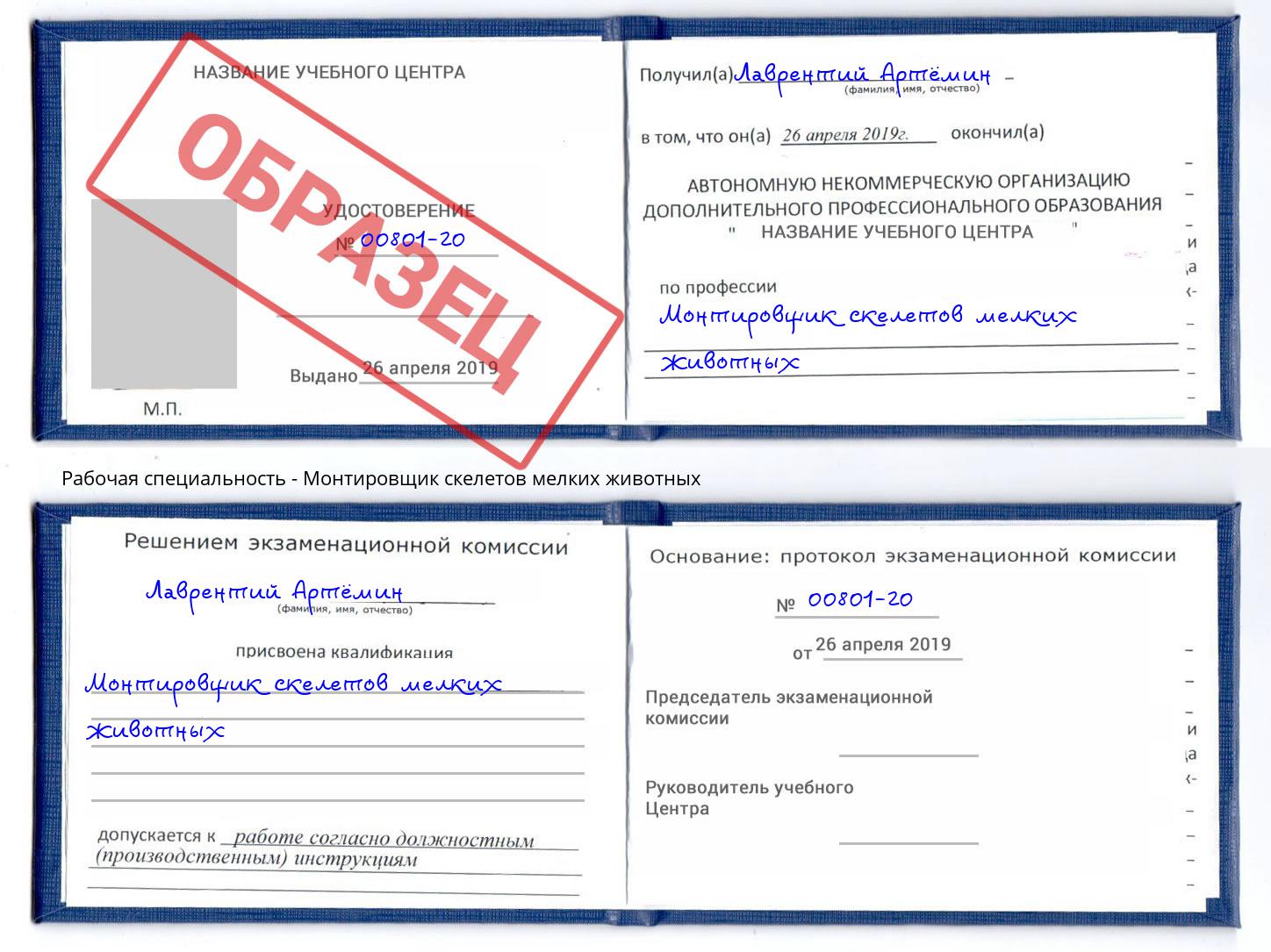 Монтировщик скелетов мелких животных Надым