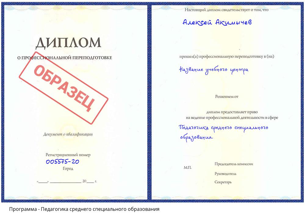 Педагогика среднего специального образования Надым