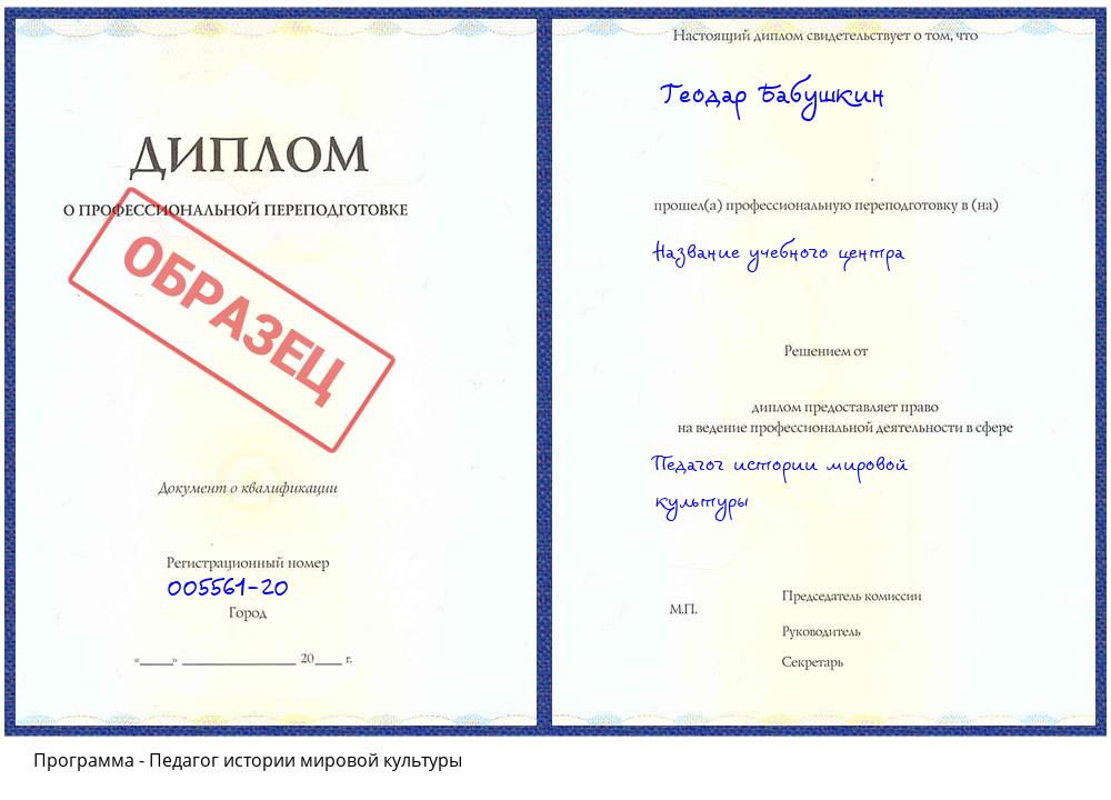 Педагог истории мировой культуры Надым