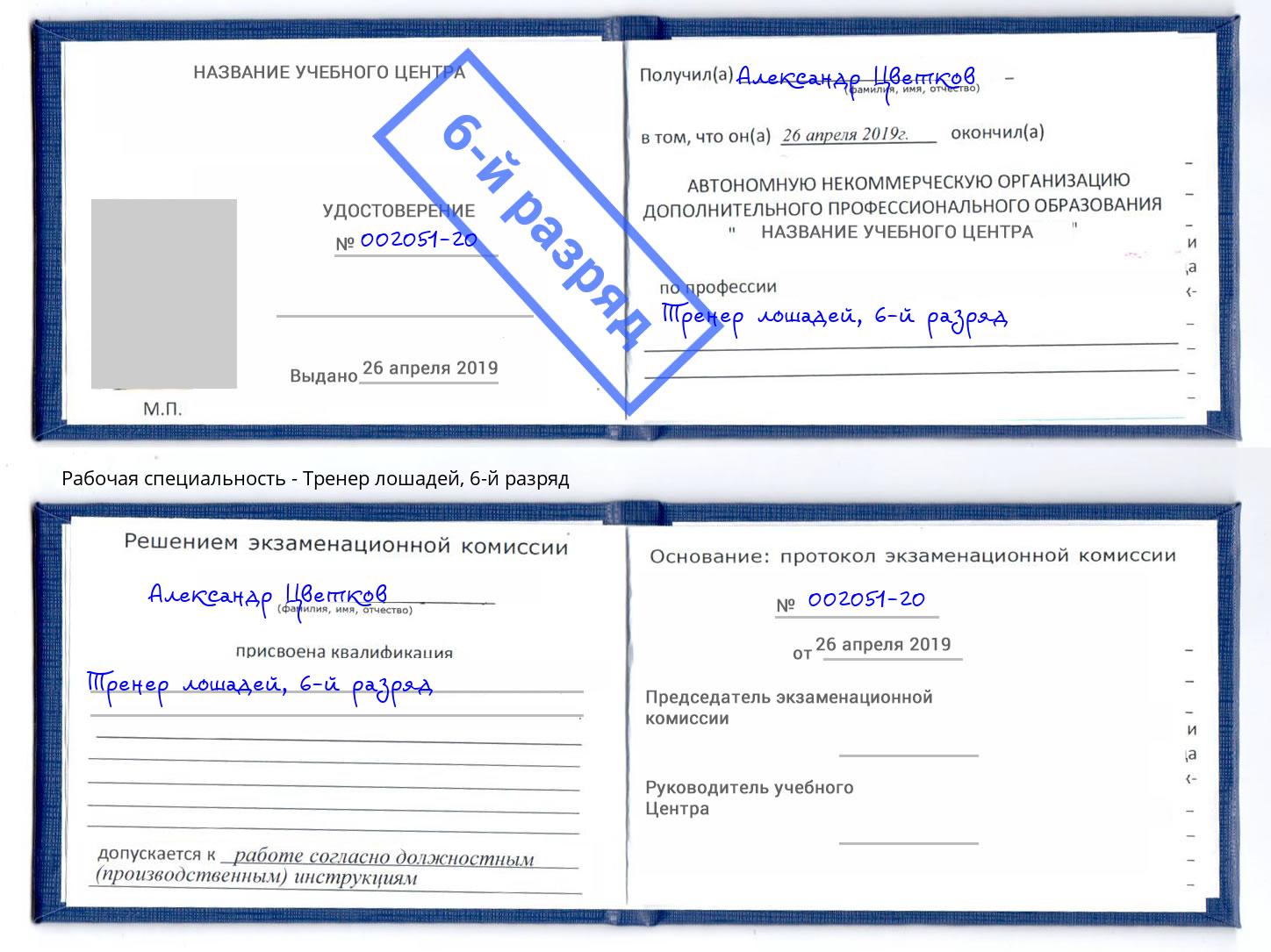 корочка 6-й разряд Тренер лошадей Надым