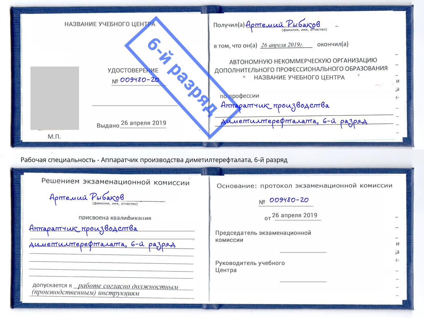 корочка 6-й разряд Аппаратчик производства диметилтерефталата Надым